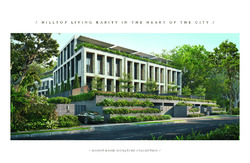 Mount Rosie Road (D11), Terrace #443415271